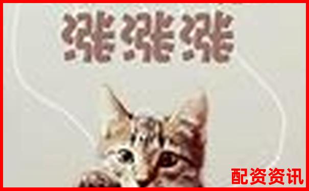 股票配资投资是否安全风险与收益如何权衡-杠杆倍数说明什么现象