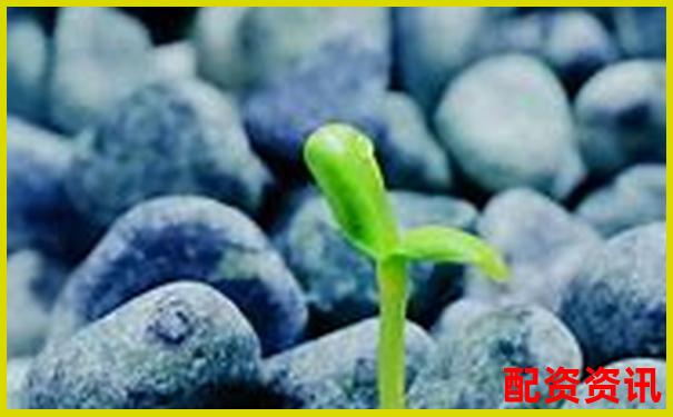股票配资利息合理区间分析及市场行情参考-股票翻一倍挣多少钱合适