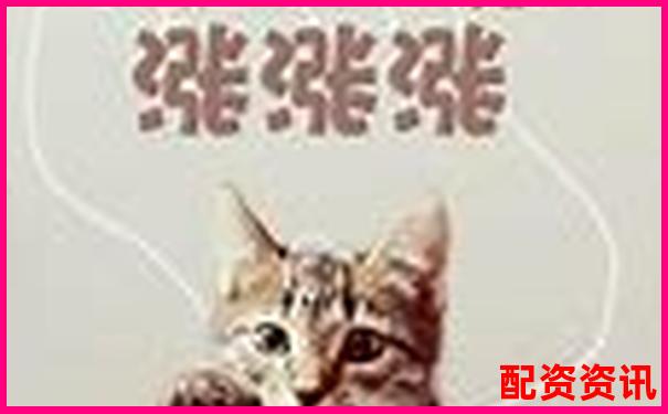 线上股票配资开户指南新手必看操作流程详解-正规配资炒股平台网站