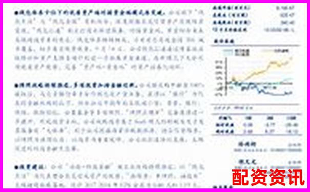 深度评测红牛配资平台用户资金安全与杠杆稳定性实测报告