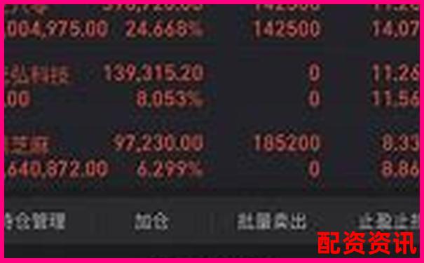 杠杆牛横向对比评测与传统投资方式的效率与收益差异分析-股票对应pe15.33倍什么意思
