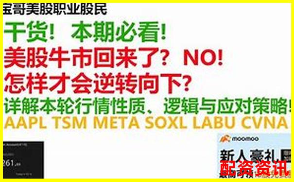猛牛操盘三十天持续跟踪评测揭示自动化交易的真实效果-投资杠杆多少倍比较安全可靠