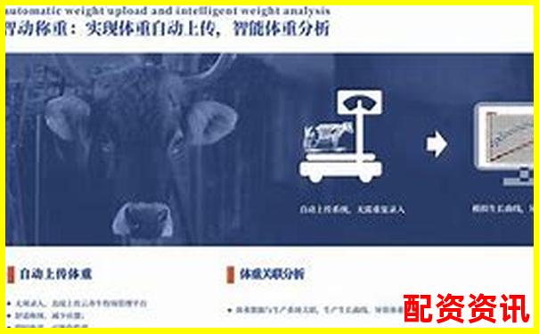 深度评测牛力配资平台安全性稳定性和用户体验全维度解析-穷人适合哪几个理财股票平台