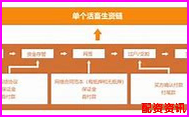 实测盈牛网五大核心功能看看它如何满足投资者多样化需求-十倍杠杆怎么算盈利能力