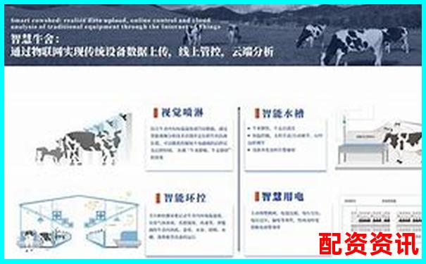 深度评测牛力配资平台安全性稳定性和用户体验全维度解析